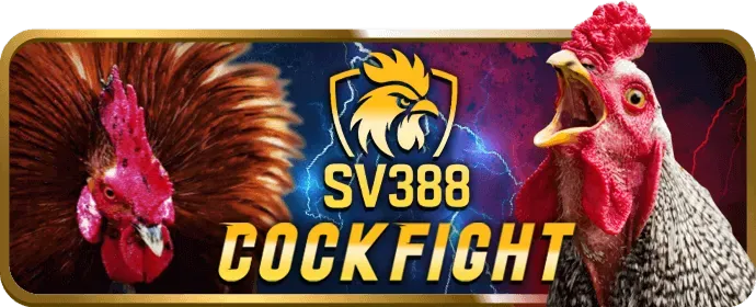 Ưu đãi t88 win